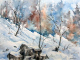 Winter in Great Falls 27x37cm