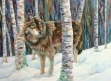 Wolf in Winter 50x35cm