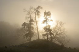 Breaking through