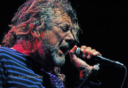 Robert Plant, Robert Plant and the Sensational Shape Shifters.