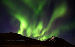 Aurora: Near to Borgarnes.