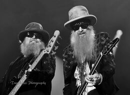 Billy Gibbons & Dusty Hill, ZZ Top