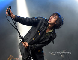 Faris Badwan, The Horrors