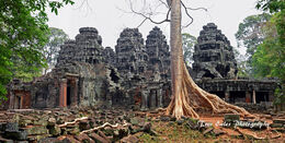 Ta Prohm