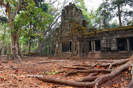 Ta Prohm