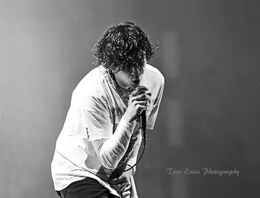 Matt Healy, The 1975