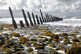 Groyne, South Walney