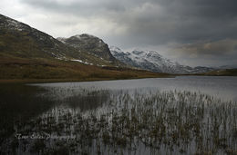 Red Tarn and beyond