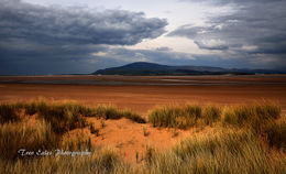 Low tide: Sandscale Haws.