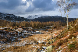 Toward the Langdales from Holme Fell