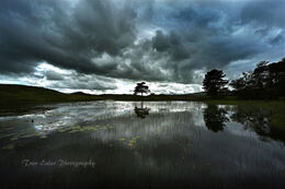 Kelly Hall Tarn