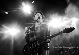 Heather Baron Gracie, Pale Waves