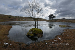 Melting ice, Kelly Hall Tarn