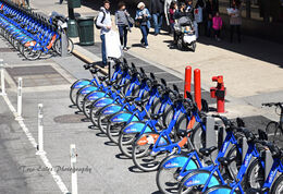 Cycles for rent
