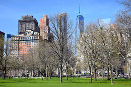 Freedom Tower from Battery Park