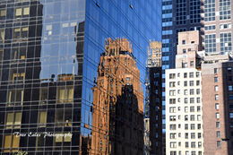Lower Manhattan reflections