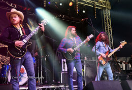 The Sheepdogs