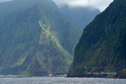Sea cliffs, North West Madeira