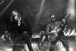 Jay Buchanan / Scott Holiday, Rival Sons