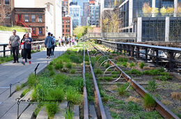 Walking the rails: Hudson River Greenway