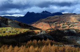 Hodge Close and beyond