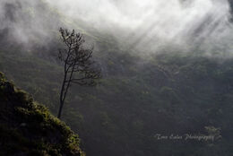 Swirling cloud, Curral Das Freiras