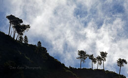 Evapaorating clouds, Curral Das Freiras