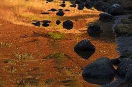 On Golden Pond 1