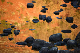 On Golden Pond 2.