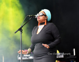 Caron Wheeler, Soul ll Soul.