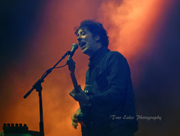 Matthew Murphy, The Wombats