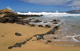Playa del Viejo Rey