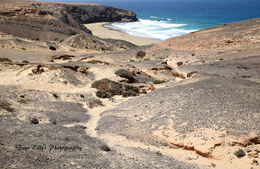 The footpath to Playa del Viejo Rey