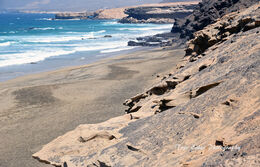 Playa del Viejo Rey