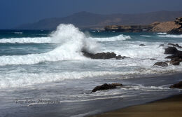 Looking North at Playa del Viejo Rey