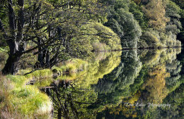Rydal reflections