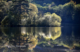Reflected Island, Rydal Water