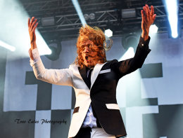 Howlin Pelle Almqvist, The Hives.
