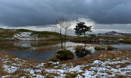 Looking South: Kelly Hall Tarn