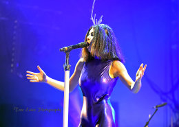 Marina & the Diamonds