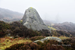Monolith in the mist