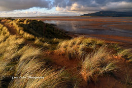 Sandscale Haws looking toward Black Combe