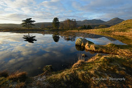 Kelly Hall Tarn