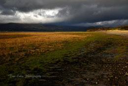 Looking toward Dunnerholme