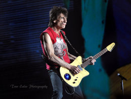 Ronnie Wood, The Rolling Stones.