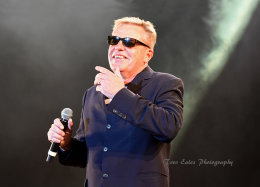 Suggs, Madness