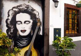 Funchal Doors, Funchal