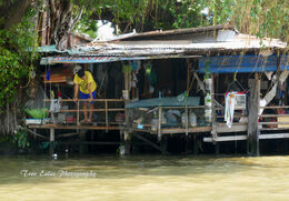 At home on the water
