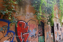 Street in Trastevere