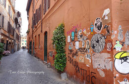 Street in Trastevere